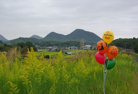 IMGP0638_1005