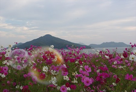 IMGP1063_1011