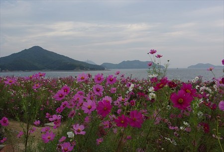 IMGP1133_1011