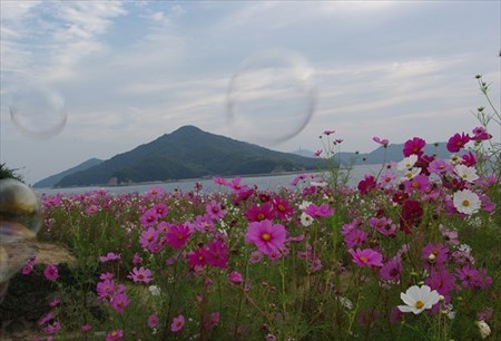 IMGP1137_1011