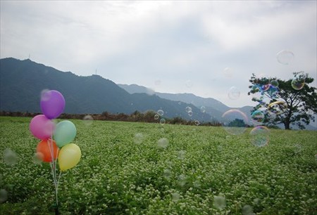 IMGP1720_1011