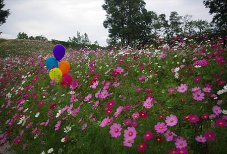 IMGP2056_1011