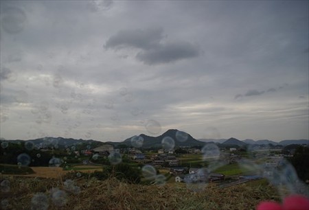 IMGP2610_1012