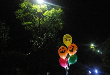 IMGP7258_1015