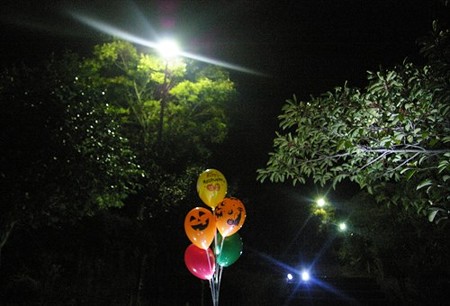 IMGP7316_1015