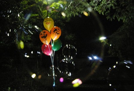 IMGP7358_1015