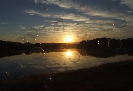 DSCF9378_1018