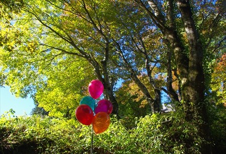 IMGP1737_1019