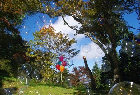 IMGP2006_1019