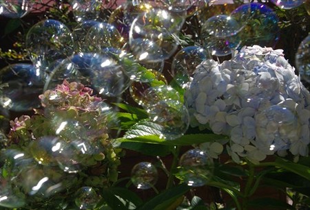 IMGP2112_1019