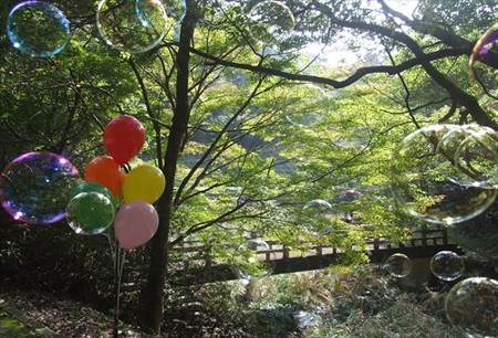 DSCF9453_1021