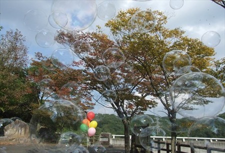 DSCF9775_1021