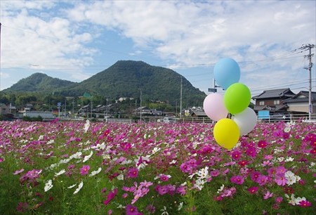 IMGP2887_1025