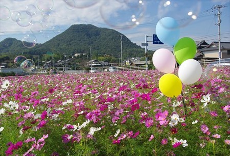 IMGP2950_1025