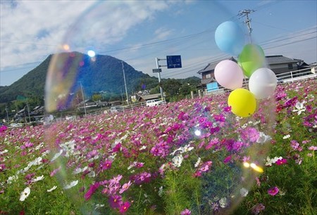 IMGP2960_1025