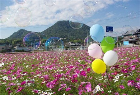 IMGP2962_1025