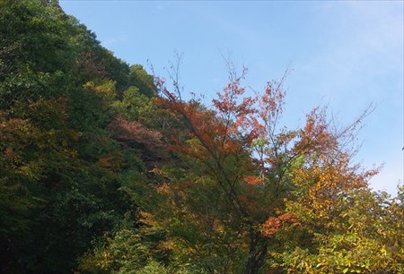 IMGP3366_1026