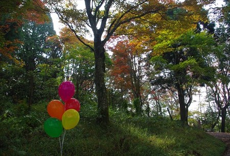 IMGP3590_1026