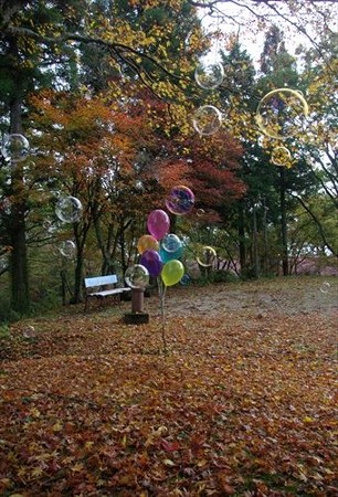 IMGP0275_1101