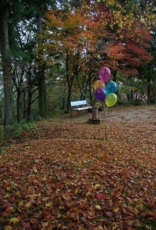IMGP0344_1101