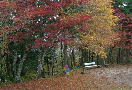 IMGP0583_1101