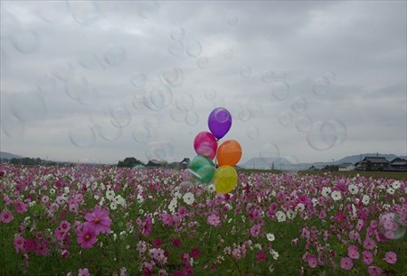 IMGP0677_1102