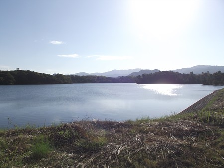 DSCF3424_1103