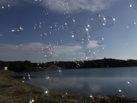 DSCF3456_1103
