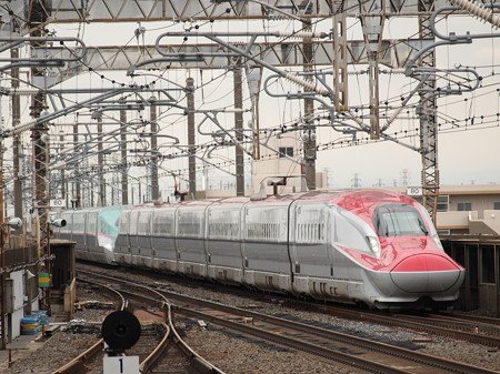 E6系回送 東北新幹線小山駅