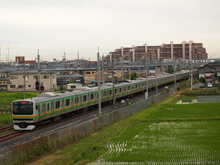 E231系普通 東北本線白岡~新白岡04