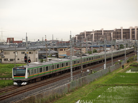 E233系普通 東北本線白岡~新白岡