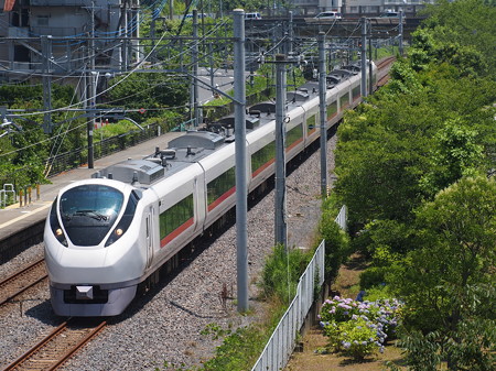 E657系特急ひたち常磐線偕楽園~赤塚02