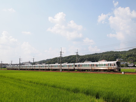 225系丹波路快速 福知山線道場~三田