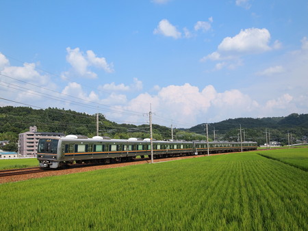 207系普通 福知山線道場~三田02