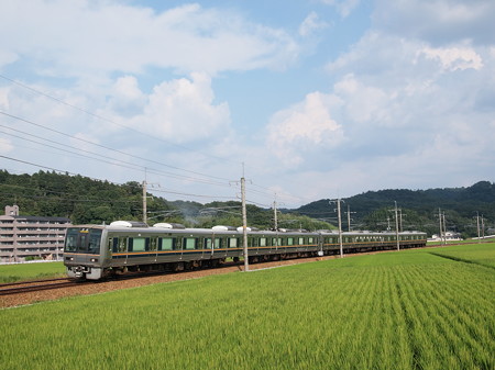 207系普通 福知山線道場~三田03