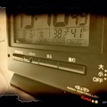 38.2℃～生きてきた中で1番酷い暑さが連日