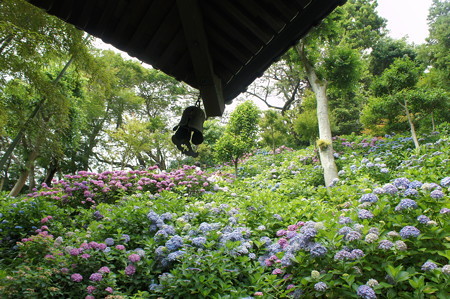 DSC02840