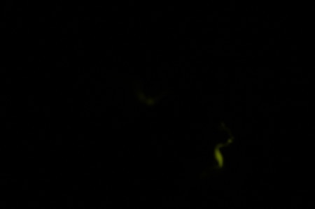 DSC02654