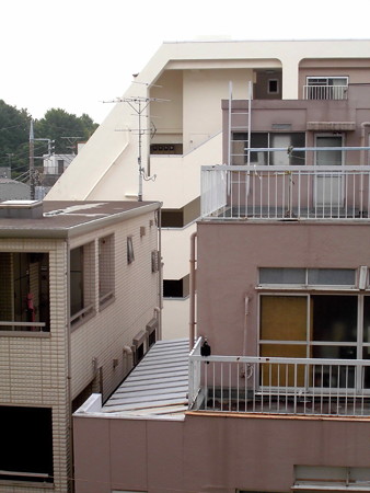カラス(恋の行くへ)_2015.07.02.-14_終始stand-alone