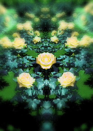 薔薇の言葉d-04