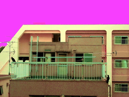 カラス_恋愛専科-03