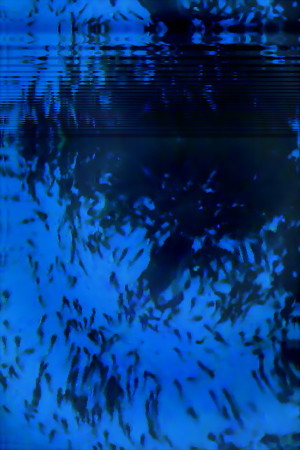 蝌蚪-05