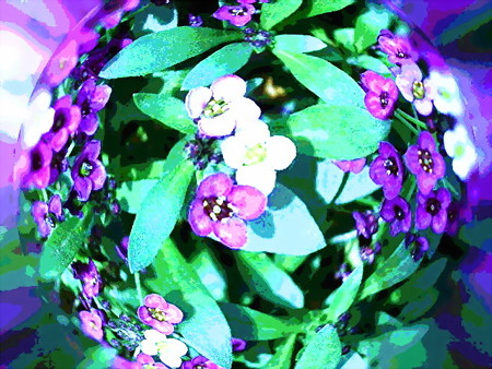 flowers in love