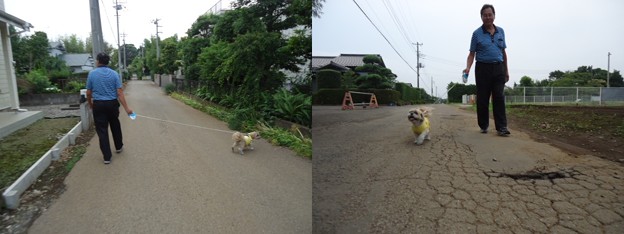 千葉パパとお散歩2