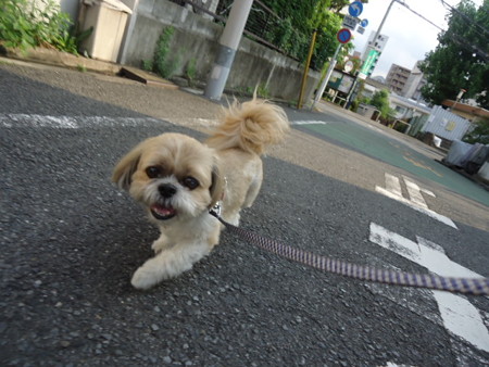 DSC09607