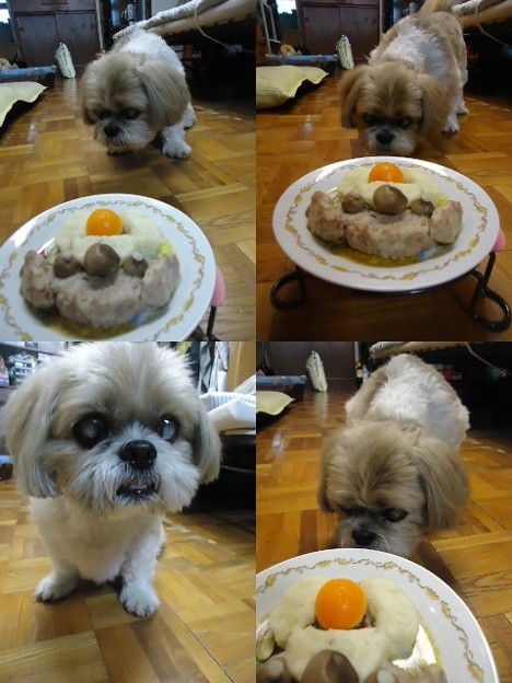 お誕生日トラッチケーキ