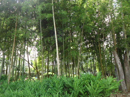 DSC09738