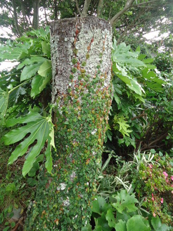 DSC09816