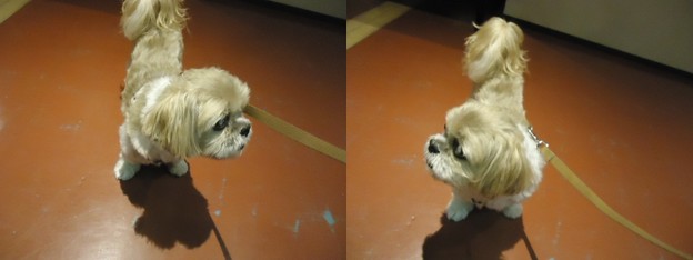 ワンパラ館内