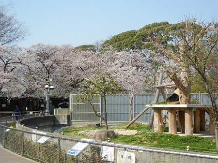 DSCN1265